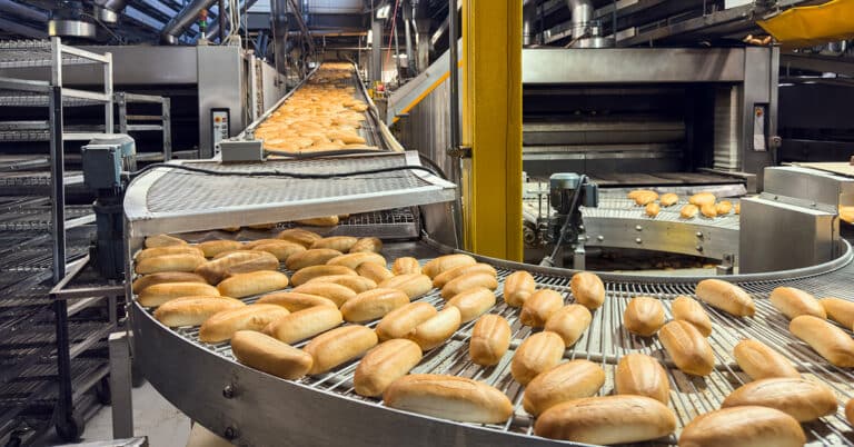 Conveyor belt full of freshly baked breads in a factory.